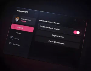 VizugeHUB ROLLBACK